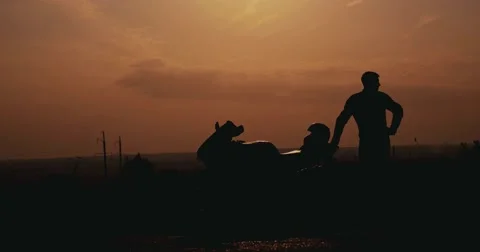 Silhouette of the cyclist Stock Footage 55232362