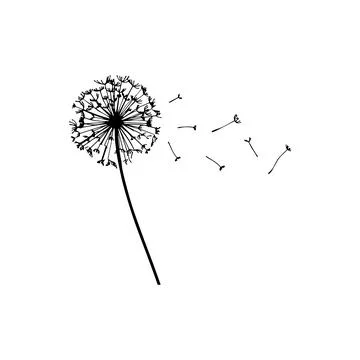 Silhouette of Dandelion Blowing in the Wind. Vector icon. Stock Illustration