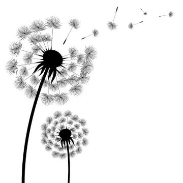 Silhouette Dandelion Stock Illustration