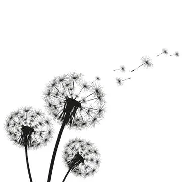 Silhouette of a dandelion Stock Illustration