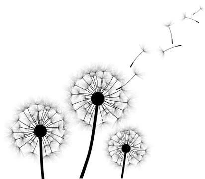 Silhouette of a dandelion Stock Illustration