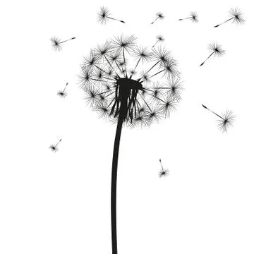 Silhouette of a dandelion Stock Illustration