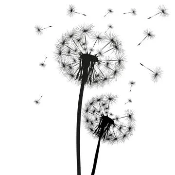 Silhouette of a dandelion Stock Illustration