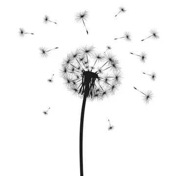 Silhouette of a dandelion Stock Illustration