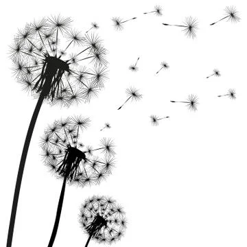 Silhouette of a dandelion Stock Illustration