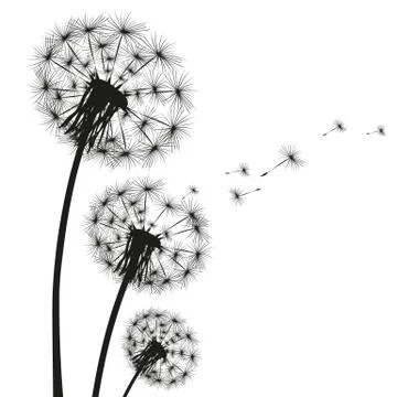 Silhouette of a dandelion Stock Illustration