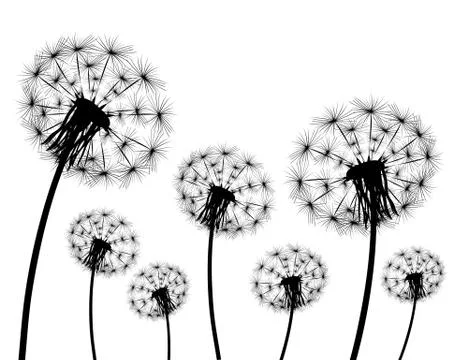 Silhouette of a dandelion Stock Illustration