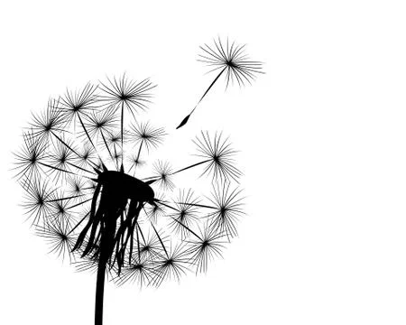 Silhouette of a dandelion Stock Illustration