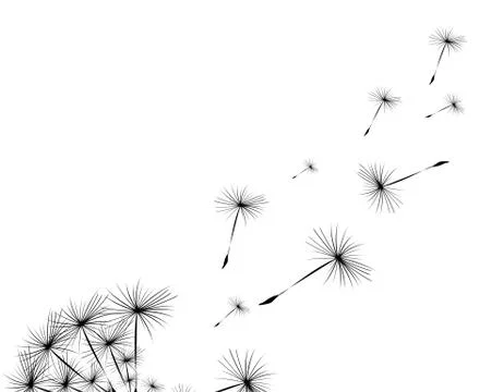 Silhouette of a dandelion Stock Illustration
