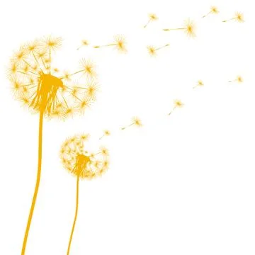Silhouette of a dandelion on a white background Illustrazione stock