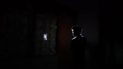 Silhouette in a Dark Room with Window Light Stock Footage 313468200