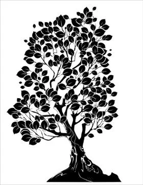 Silhouette of a Deciduous Tree Stock Illustration