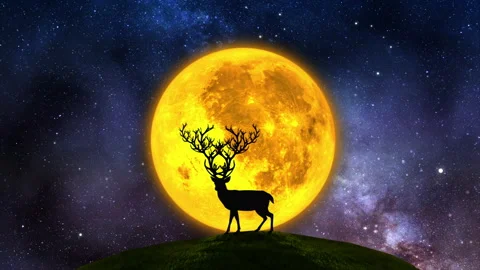 Silhouette of a deer on a full moon background Stock Footage 167753727