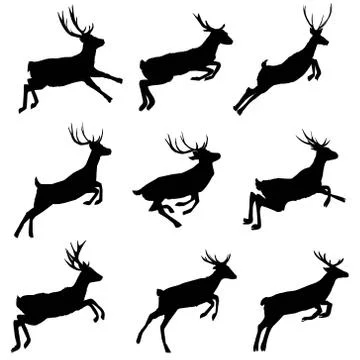 Silhouette deer with great antler/animal/ vector illustration Stock Illustration