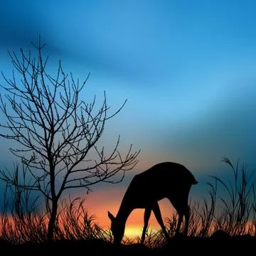 Silhouette of deer Stock Photos