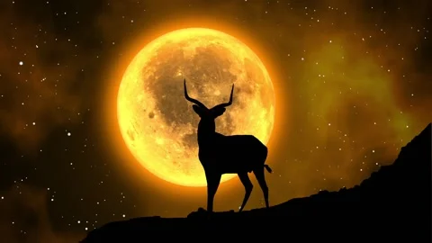 Silhouette of a deer under the light of the full moon Stock Footage 157313062