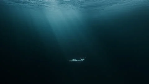 Silhouette Of Depressed Woman Sinking Into Underwater Grave Dark Deep Magic Stock Footage