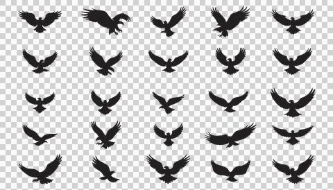 Silhouette designs of eagles in flight. Stock Illustration