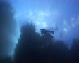 Silhouette of diver with sunbeams SD Footage