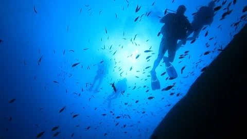 Silhouette of Divers 스톡 동영상 94898580