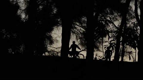 Silhouette dog walkers through trees in the evening 4K Stock-Footage 201659396
