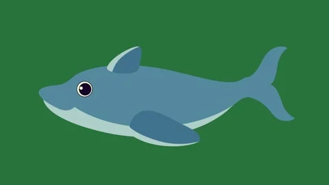 A silhouette of dolphin on green background and shark screen isolated on green Stock-Footage 336856741