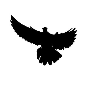 Silhouette dove on white background Stock Illustration