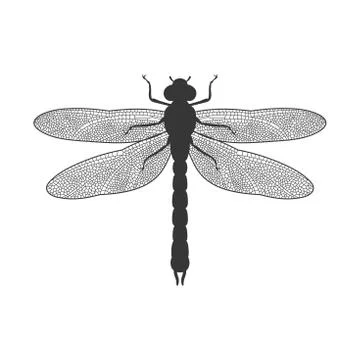 Silhouette of Dragonfly Stock Illustration