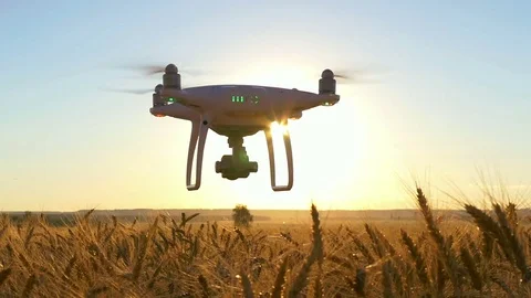 Silhouette of drones. Flight at sunset in a wheat field Stock Footage 79103508