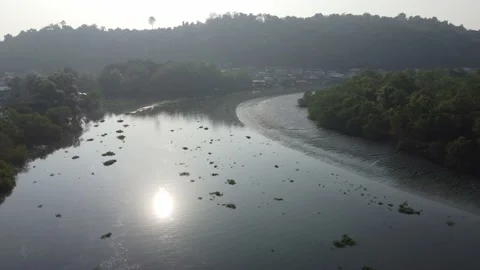 Silhouette duckweed flow on river Stock Footage 149208360