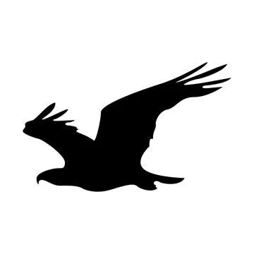 Silhouette of an eagle in flight, isolated on white background Stock Illustration