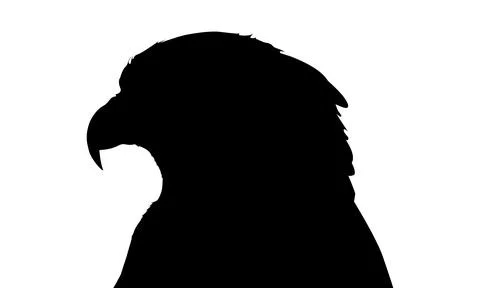 Silhouette of an eagle Stock Illustration