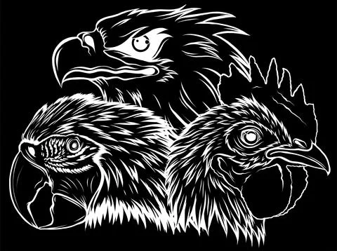 Silhouette Eagle Mascot Logo Design Vector Template illustration Stock Illustration