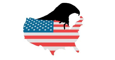 Silhouette of eagle over american flag us map against white background Stock Illustration