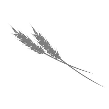 Silhouette of ear of rye or wheat on white background Stock Illustration