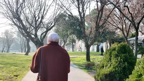 Silhouette of an Elderly Figure Stock Footage 324768643