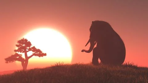 Silhouette of elephant and tree Illustrazione stock