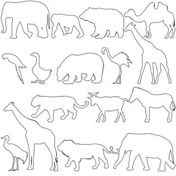 Silhouette elephant bear eagle trot duck zebra on a white background Stock Illustration