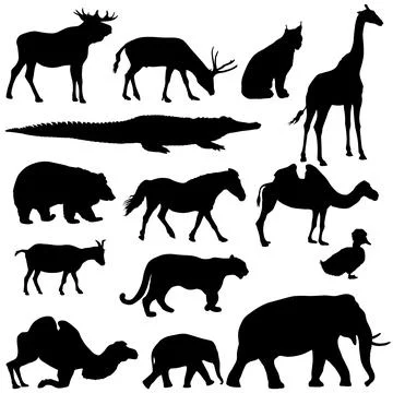 Silhouette elephant bear eagle trot duck zebra on a white background Stockillustratie