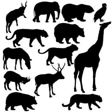Silhouette elephant bear eagle trot duck zebra parrot on a white background. Stock Illustration