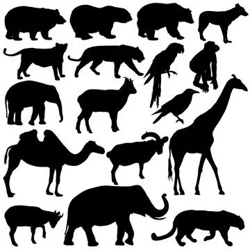 Silhouette elephant bear eagle trot duck zebra on a white background Stock Illustration