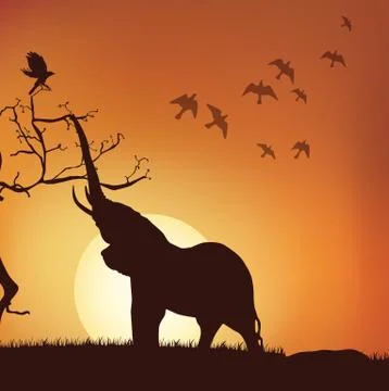 Silhouette of elephant Stock Illustration