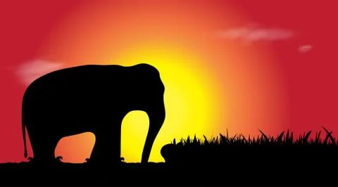 Silhouette elephant Stock Illustration