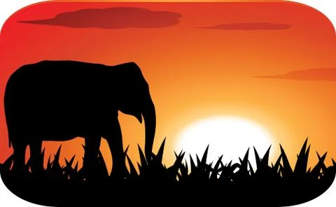 Silhouette elephant with sunset Stock Illustration