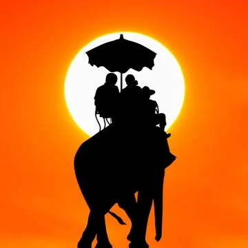 Silhouette elephant with tourist at sunset Stock Photos