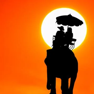 Silhouette elephant with tourist at sunset Stock Photos