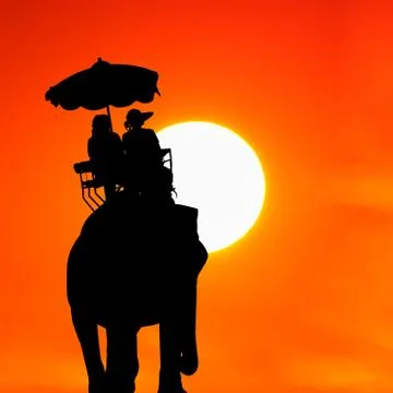 Silhouette elephant with tourist at sunset Stock Photos