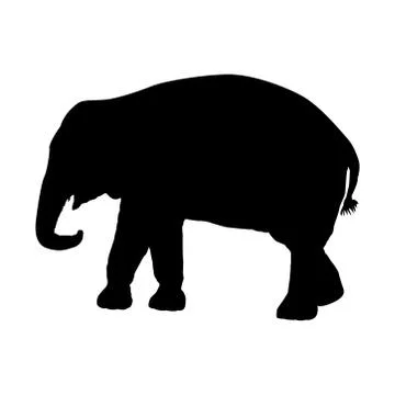 Silhouette of an elephant on a white background. Vector illustration Stock Illustration