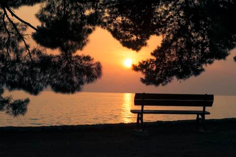 Silhouette of empty bench under pine trees at sunset Stockfoto's