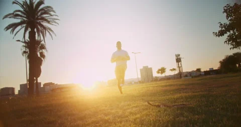 Silhouette of energetic powerful man exercising at park lawn outdoors morning Video stock 140738966